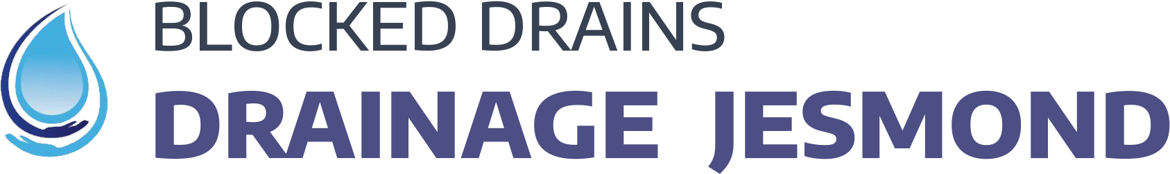 website logo